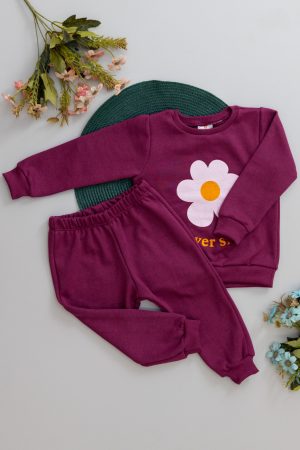 conjunto, conjuntos, moletom peluciado, estampa, menina, bebe