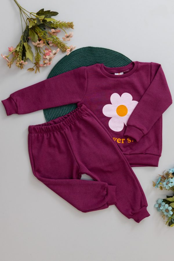 conjunto, conjuntos, moletom peluciado, estampa, menina, bebe